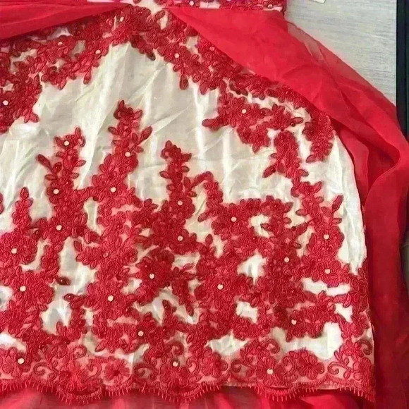 Red and Cream Floral Lace Halter Neck Evening Gown Prom Dress - Picture 9 of 17